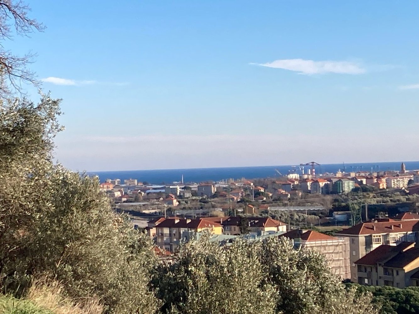 3800m² Land in Quiliano, Italy No. 97936