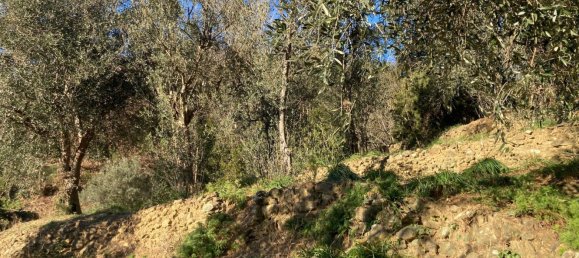 3800m² Land in Quiliano, Italy No. 97936 5