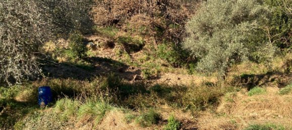 3800m² Land in Quiliano, Italy No. 97936 8