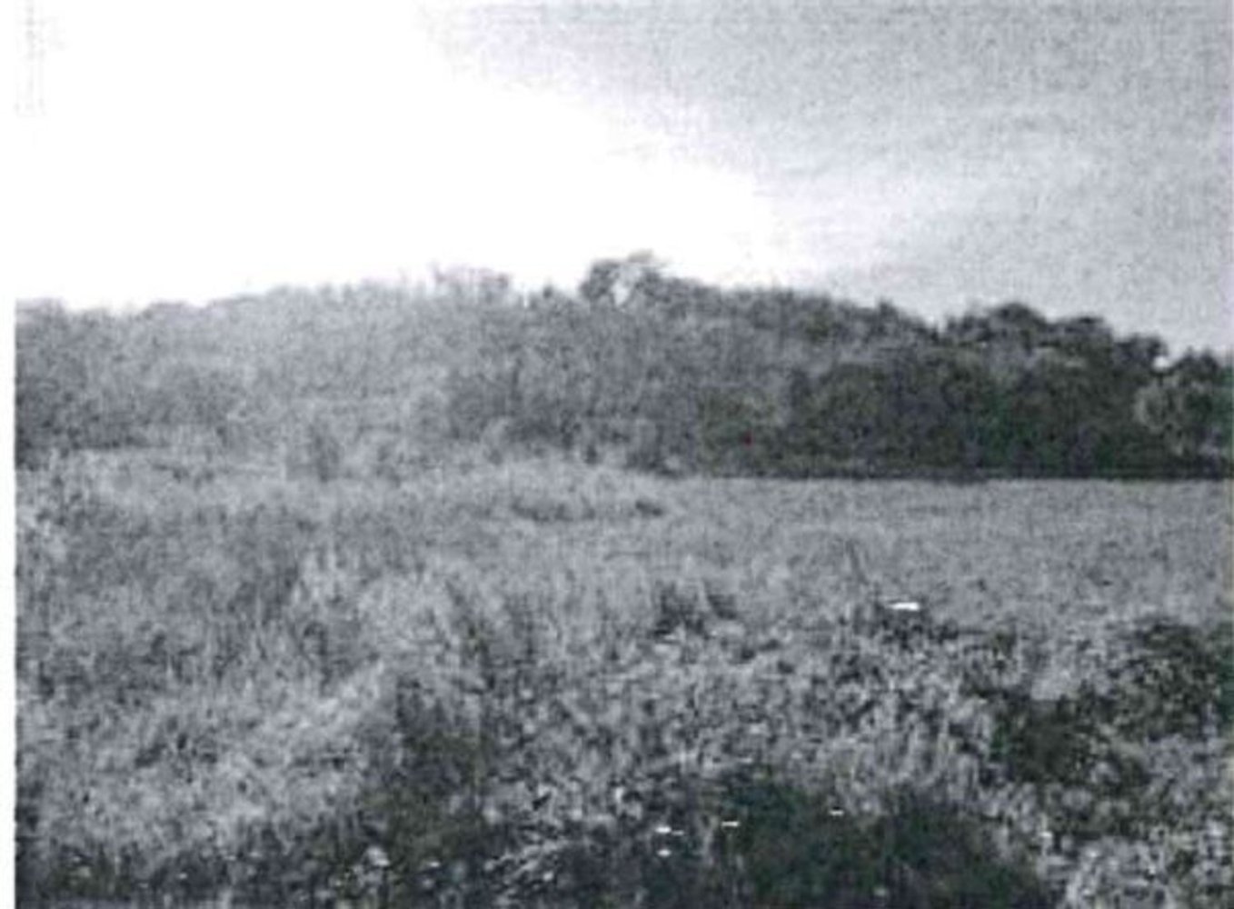 Земельный участок в Сант'Иполито, Италия № 362629