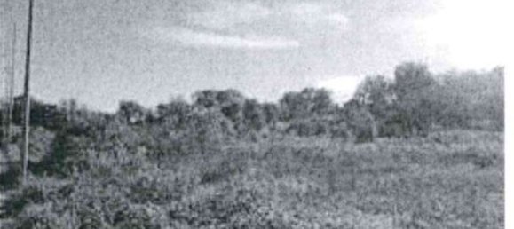 Земельный участок в Сант'Иполито, Италия № 362629 3