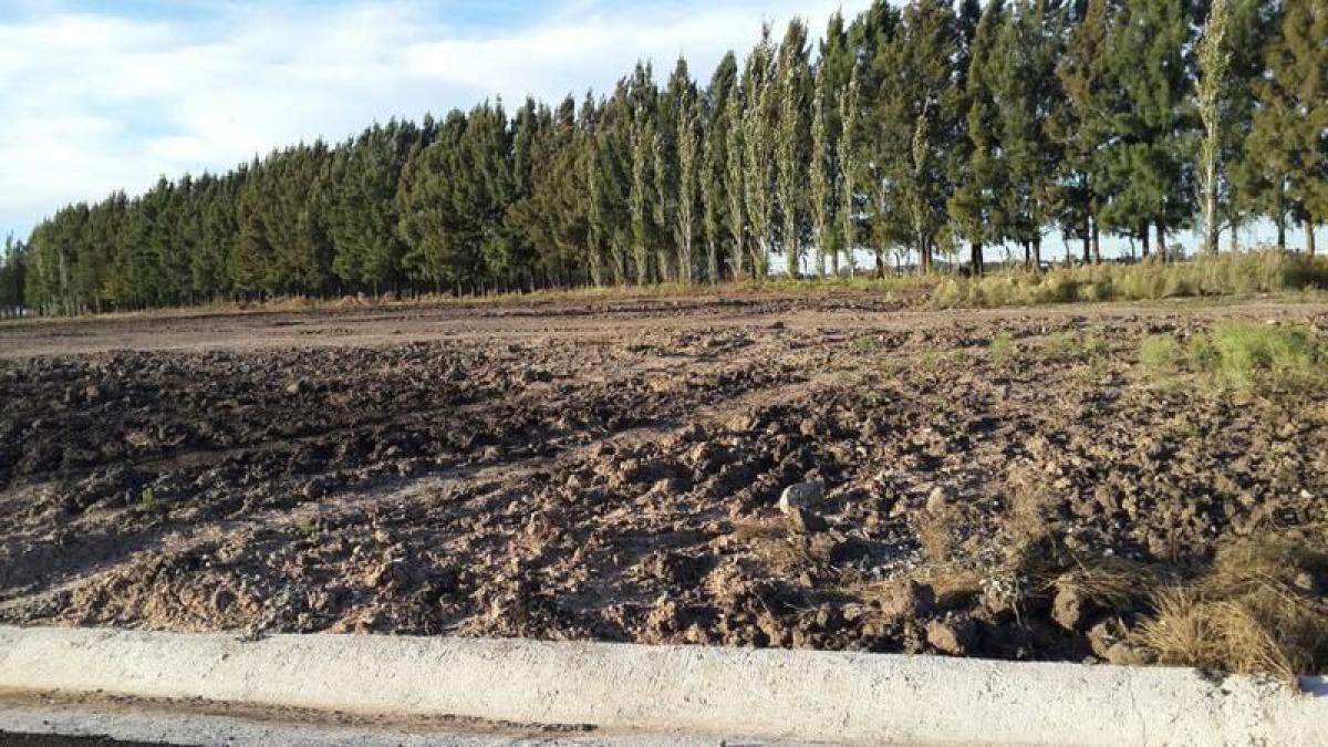  Land in Esteban Echeverria, Argentina No. 112318