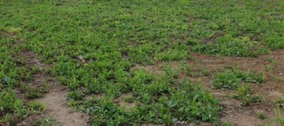 Grundstück in Emmendingen, Germany, Nr. 289617 3