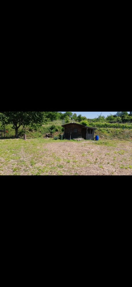 Grundstück in Emmendingen, Germany, Nr. 289617