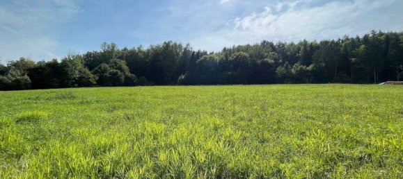 Земельный участок в Вайц, Австрия № 232338 3