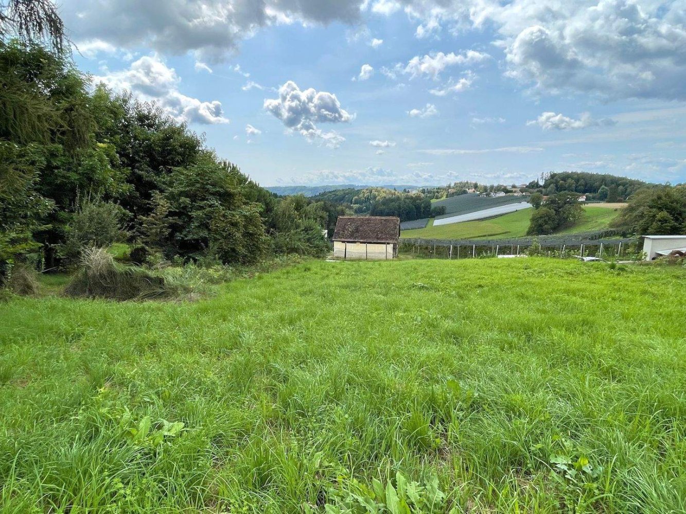 Земельный участок в Вайц, Австрия № 232338