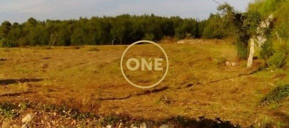 3800m² Land in Vila Nova de Cerveira, Portugal No. 58731 7