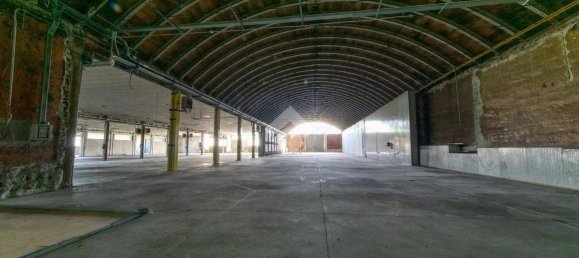 Lagerhaus in San Giorgio Monferrato, Italy 2240m², Nr. 292559 14