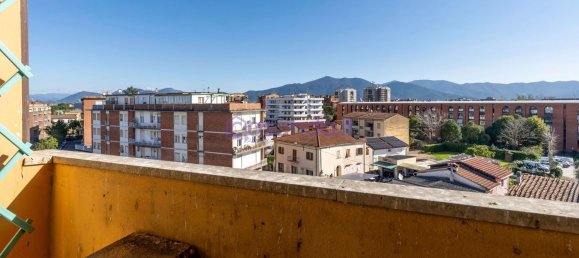 Квартира с 5 комнатами в Пиза, Италия № 49170 5