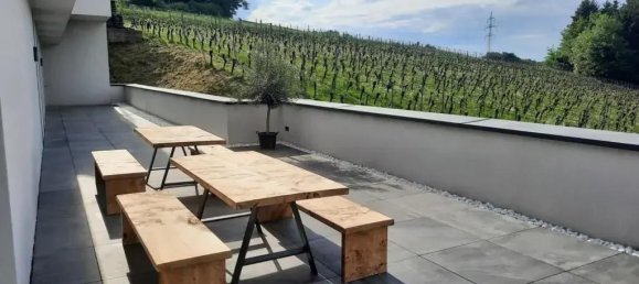 Gewerbliche Immobilie in Jennersdorf, Austria 570m², Nr. 214868 3