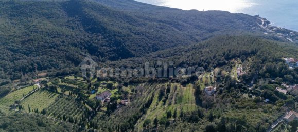 Villa T2 em Livorno, Italy N.º 352529 3