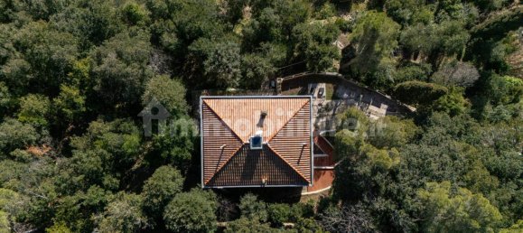 Villa T2 em Livorno, Italy N.º 352529 5