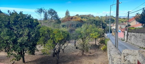 8 bedrooms House in Sintra, Portugal No. 66442 16