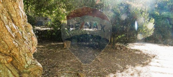 8 bedrooms House in Sintra, Portugal No. 66442 4