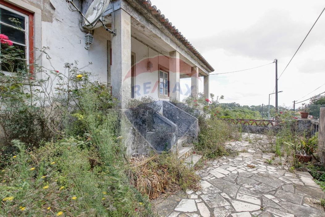 8 bedrooms House in Sintra, Portugal No. 66442