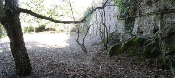 8 bedrooms House in Sintra, Portugal No. 66442 5