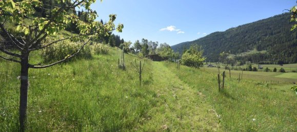 9غرفة منزل في Gnesau, Austria رقم 222389 4