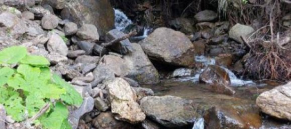 9غرفة منزل في Gnesau, Austria رقم 222389 12