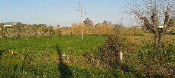  Hotel in Zakynthos, Greece No. 8529 3