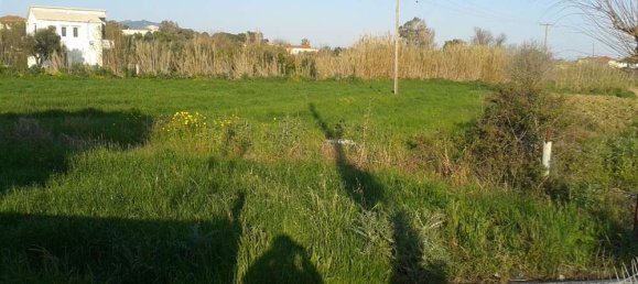  Hotel in Zakynthos, Greece No. 8529 5