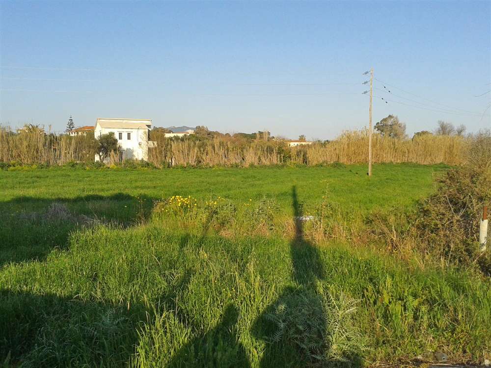  Hotel in Zakynthos, Greece No. 8529