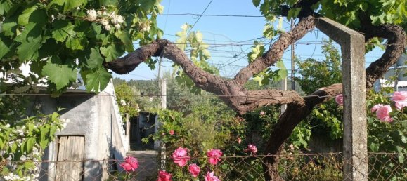 3 غرف نوم منزل في Comenda, Portugal رقم 30235 10