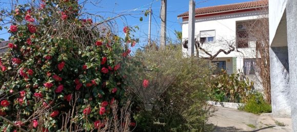 3 غرف نوم منزل في Comenda, Portugal رقم 30235 44