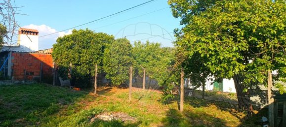 3 غرف نوم منزل في Comenda, Portugal رقم 30235 15