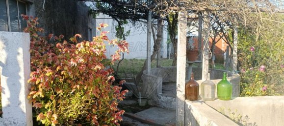 3 غرف نوم منزل في Comenda, Portugal رقم 30235 14