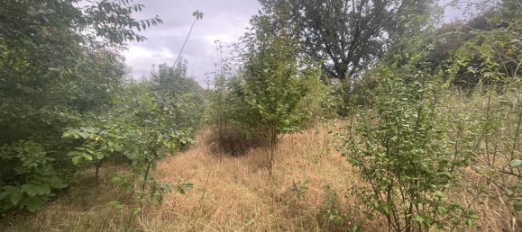 Grundstück in Mittelsachsen, Germany 733m², Nr. 119223 7