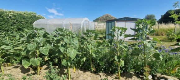 3 Schlafzimmer Haus in Mazingarbe, France, Nr. 315287 11
