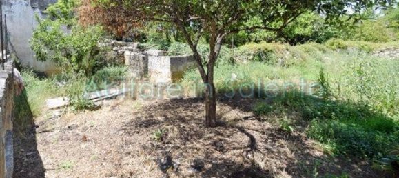 1 bedroom Apartment in Morciano di Leuca, Italy No. 72123 15