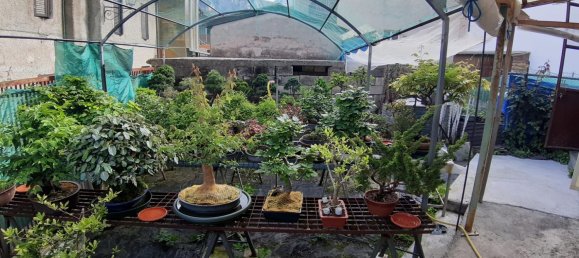 6 rooms House in Roncegno Terme, Italy No. 215508 17