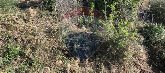 2 bedrooms House in Sao Cristovao de Nogueira, Portugal No. 162675 2