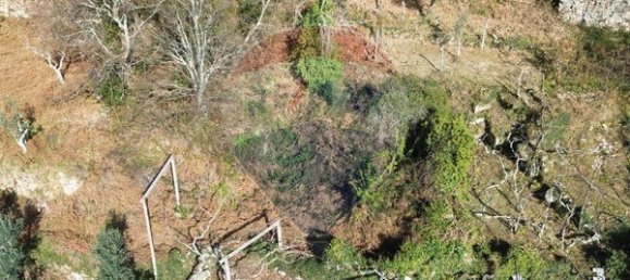 2 bedrooms House in Sao Cristovao de Nogueira, Portugal No. 162675 7