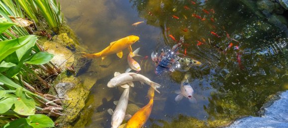 8 bedrooms Villa in Antibes, France No. 247296 29