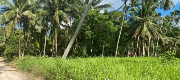  Commercial property in Wiang Sa, Thailand No. 14392 5