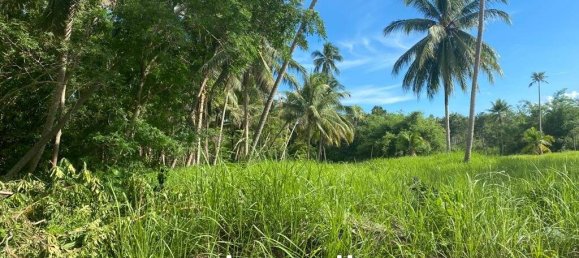  Commercial property in Wiang Sa, Thailand No. 14392 2