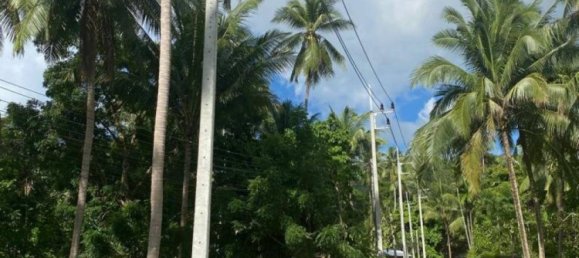  Commercial property in Wiang Sa, Thailand No. 14392 4