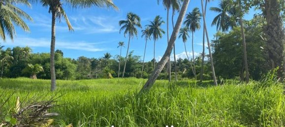  Commercial property in Wiang Sa, Thailand No. 14392 6