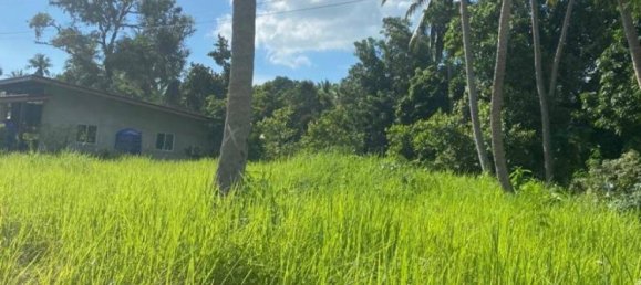  Commercial property in Wiang Sa, Thailand No. 14392 7