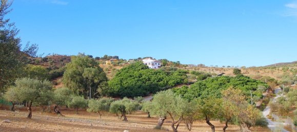 5 غرف نوم منزل في Coin, Spain رقم 125794 17