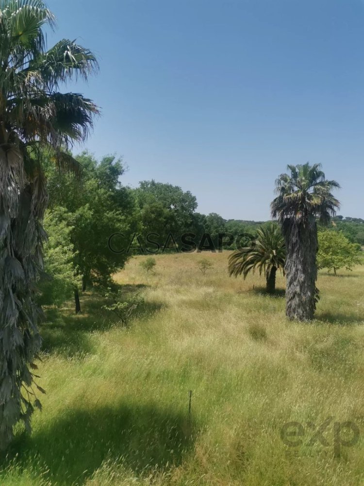 4 bedrooms Castles in Evora, Portugal No. 274407