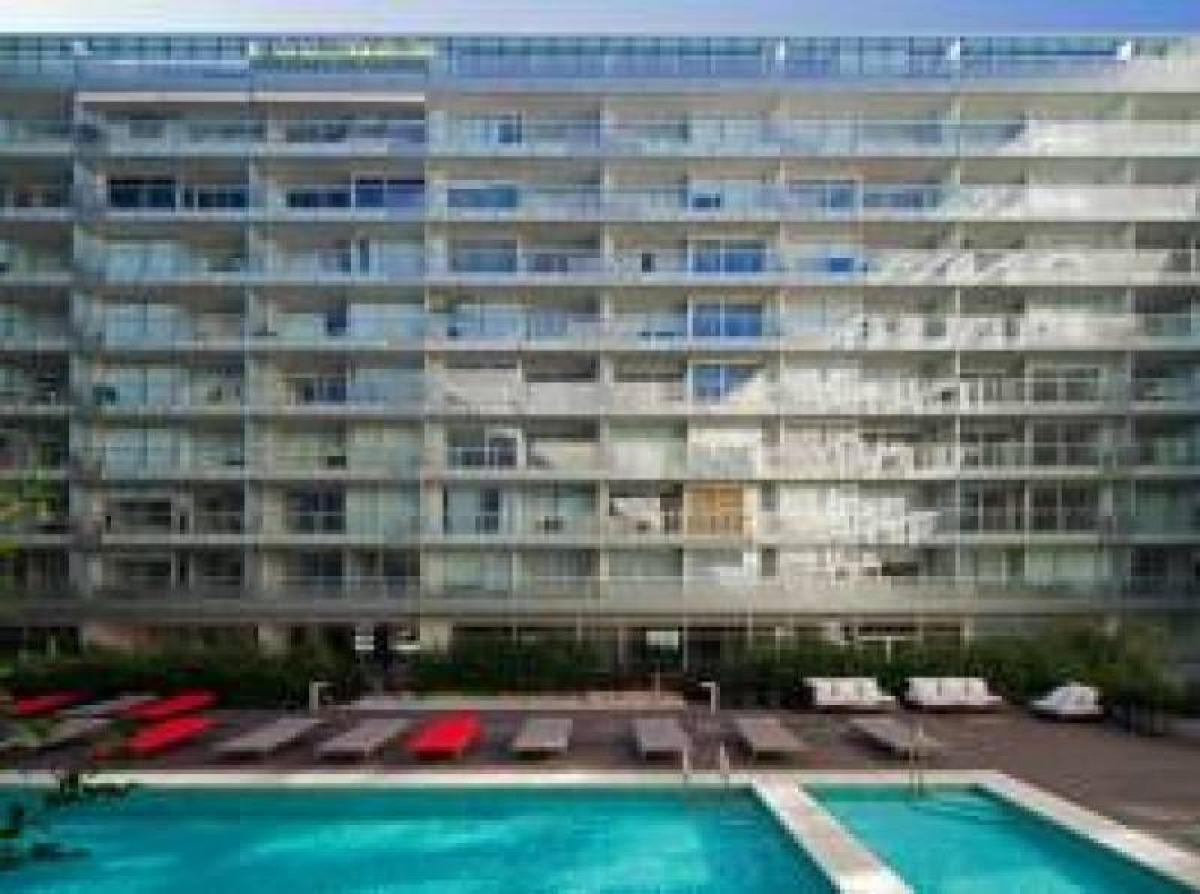 Studio in Palermo, Argentina, Nr. 66127