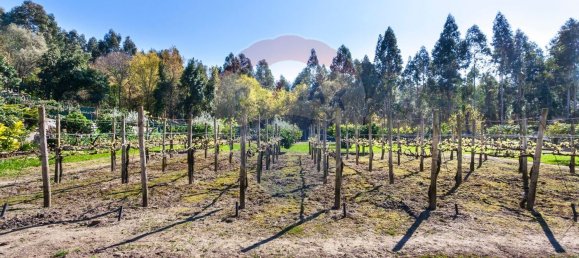 6 Schlafzimmer Haus in Santo Tirso, Portugal, Nr. 55746 22