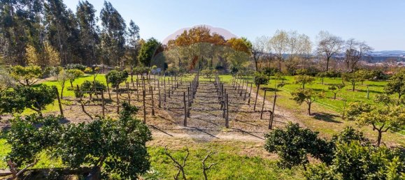 6 Schlafzimmer Haus in Santo Tirso, Portugal, Nr. 55746 21