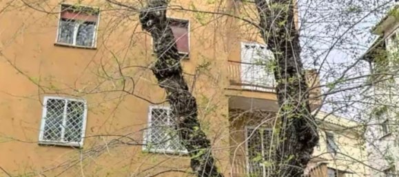 4 chambres Appartement à Rome, Italy No. 332018 5