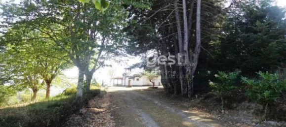 Hotel T20 em Abrunhosa a Velha, Portugal N.º 41357 25