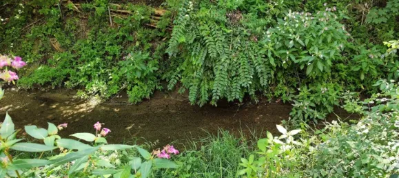 1 bedroom Apartment in Dillingen an der Donau, Germany No. 94206 12