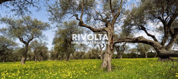 1غرفة قطعة أرض في Alghero, Italy رقم 40147 8